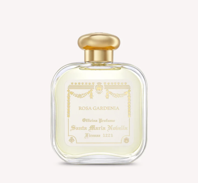 Rosa Gardenia - Santa Maria Novella